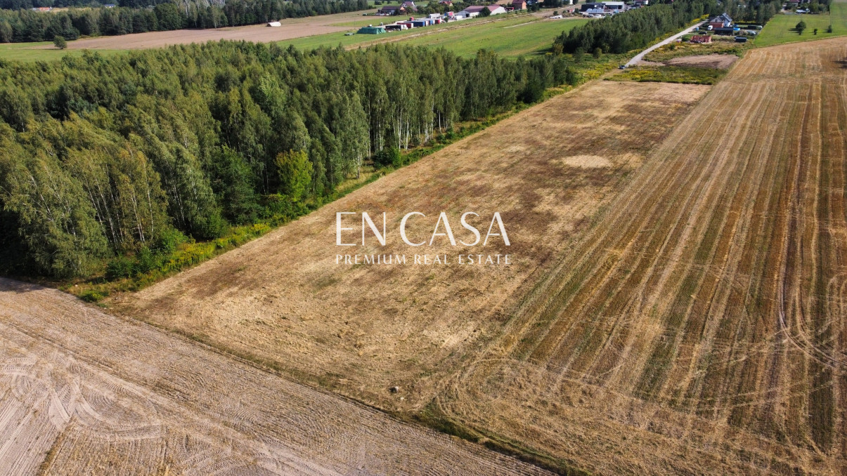 Plot Sale Wola Krakowiańska 10